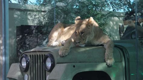 viaport aslanpark